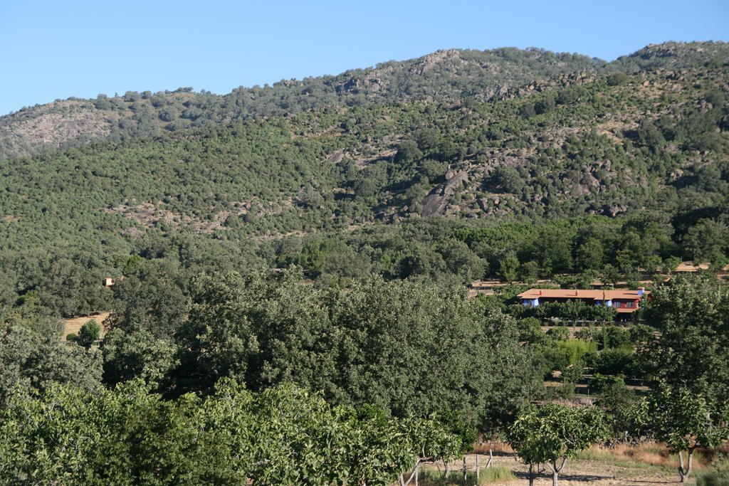 בית הארחה Talaveruela 	Lalisea מראה חיצוני תמונה